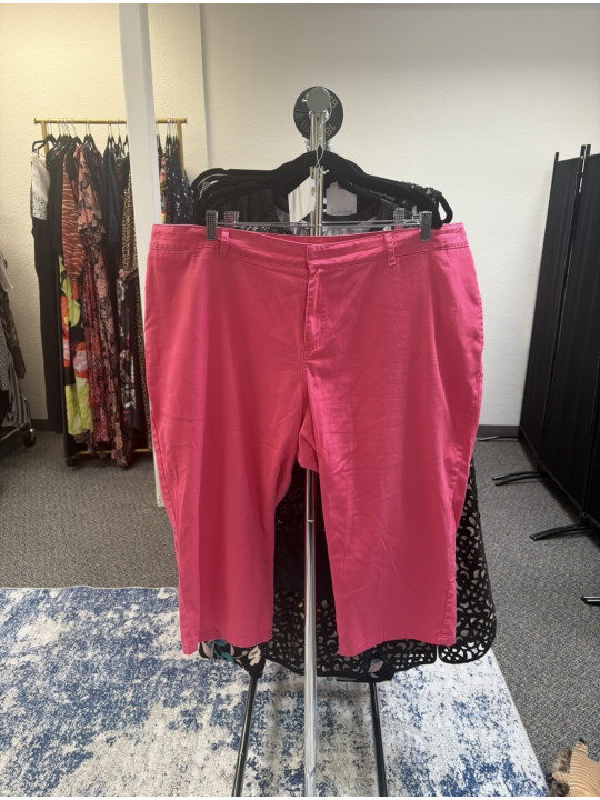 Dickies Bright Pink Cropped Pant Size 24